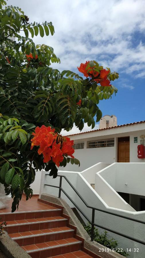 Club El Paradero Playa de las Americas  Exteriér fotografie